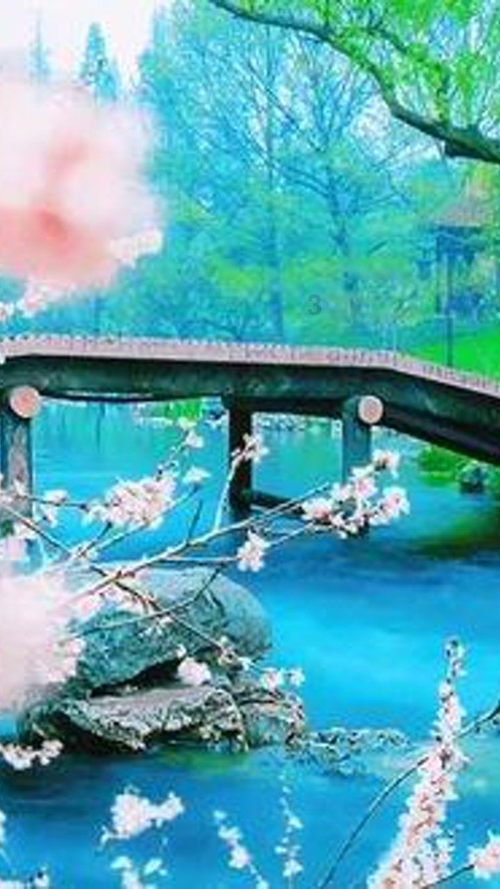 天格19,人格37,地格47,总格65,外格29,这样的名字好吗-共享经济社区分享平台
